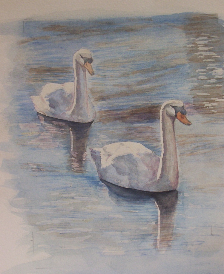 Liz Nickless 2 Swans 750