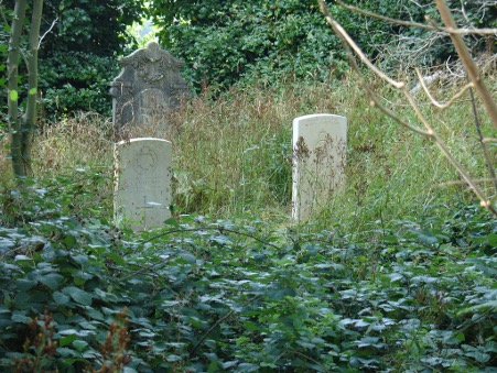 eco-church-4