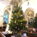 Christmas Tree Festival
